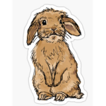 Bunny Cult merchandise!