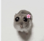 Mouse Cup