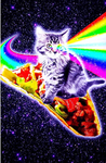 The Galaxy Kitty Squad