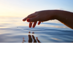 Water is good for you group