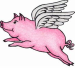 Flying Pig Game Studios