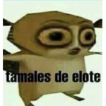 Team aguacate :D