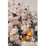 .$Butterfly$.