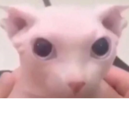 My Future Game Character Morphs