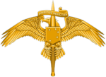 Marine Corps Exchange Service
