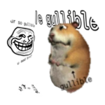 Gullible Chomik