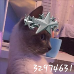 dhgangg