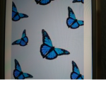 Blue butterfly ( poppyfaithpanda )