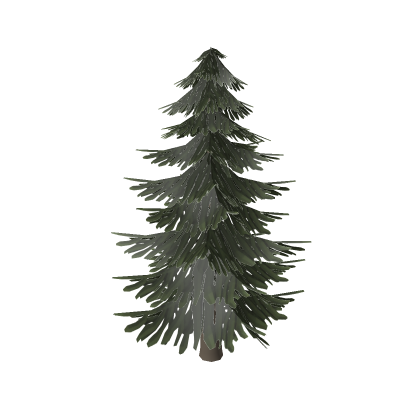 Pine Tree