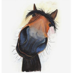 Harmony Stables