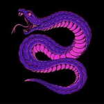 The Shadow Serpents