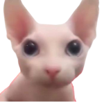 ROBERT_LIMA0