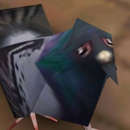 40%