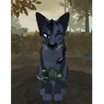 Nature Clan, FilmCrew