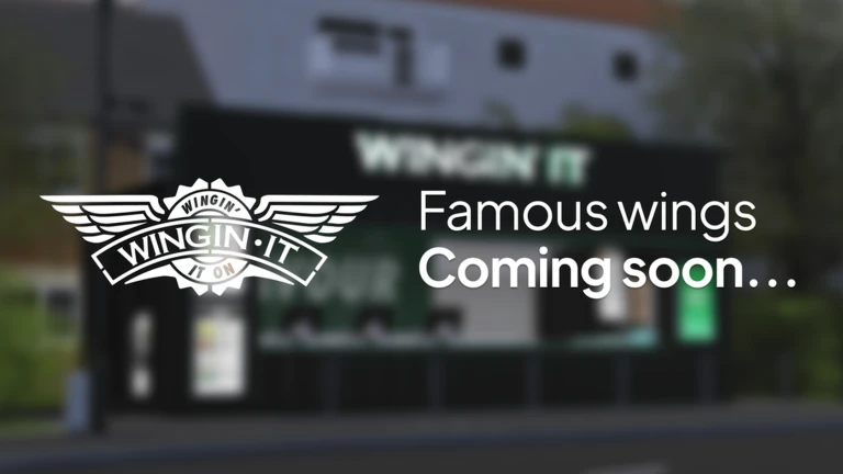Wingin' It Release