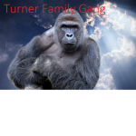 Turner Family Gang