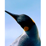 l3rokenxx's gŕöüp