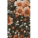 {FLOWER} ~•clothes coming soon!!!•~