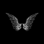 *.Evil Angel$.*