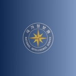SK I National Intelligence Service