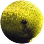 @ Roblox badge thumbnail