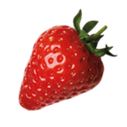 Berries United Assembly Area