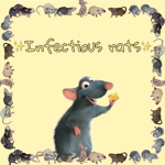infectious rats