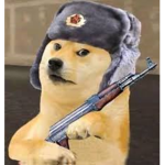 kingdom of dogе