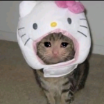 M¡$HIK0's StøRe