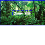 Lambo Ville