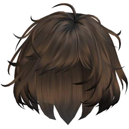 Grunge Shaggy Hair - Brown Roblox item thumbnail
