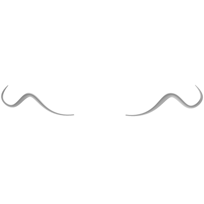 White Dragon Whiskers
