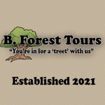 Ben Forest Tours