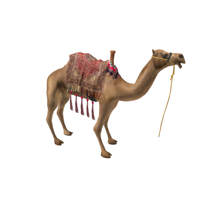Realistic Camel Mesh
