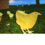The Chill Chicken Squad