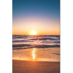 BeachWaveCalifornia