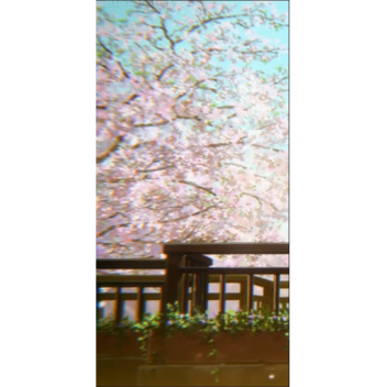 Darkwolfangel11's Place