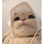 :-)))