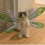 Tᴇᴅᴅʏ' ᴏᴜᴛғɪᴛs