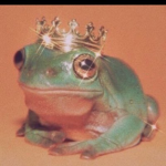 -royal frogs-