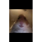 Roblox_AdoptMe106