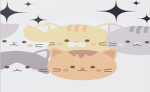 กลุ่มออฟบี้แมวน้อย