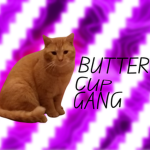 Butter Cup gang