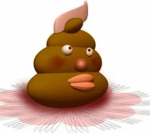 Silly Poo Heads
