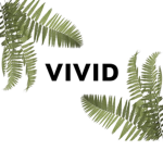 vivid.•
