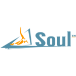 Soul's Reveal