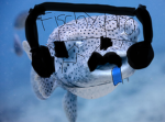 Fischybro’s community