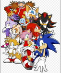 Sonic The Hedgehog Group (S.T.H.)