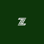 The Zombie Slayers  (TZS)