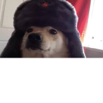 XENZ